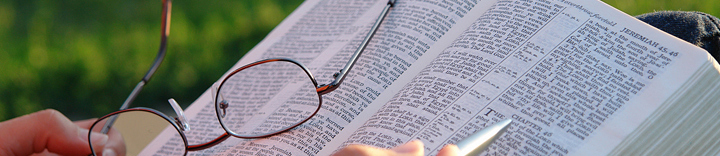 школы новопечерские липки драгомирова печерск